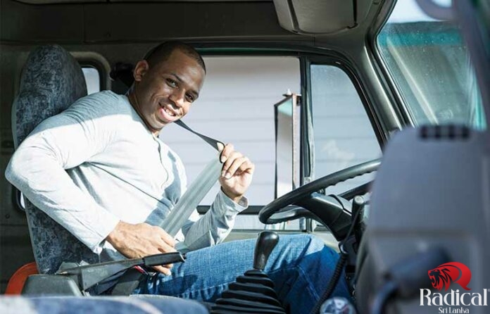 seat belt law