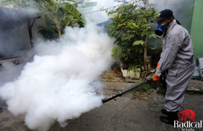 Dengue Prevention Week