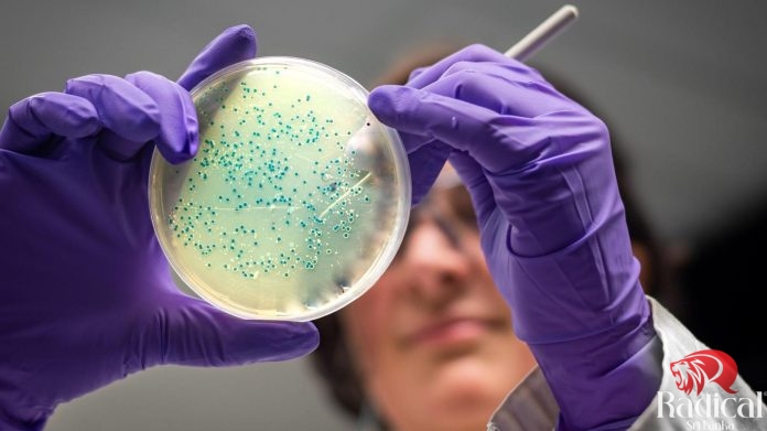 Two new antibiotics from artificial intelligence