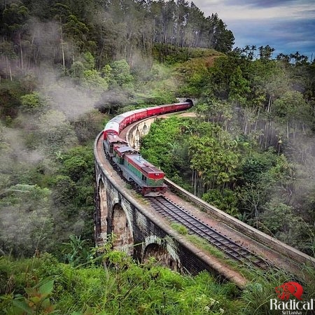 Ella Weekend Express