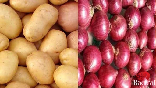 Special commodity tax imposed on imported potatoes and onions increased