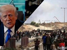 Israel and Hamas Sign First Phase of Peace Agreement Israel and Hamas Sign First Phase of Peace Agreement